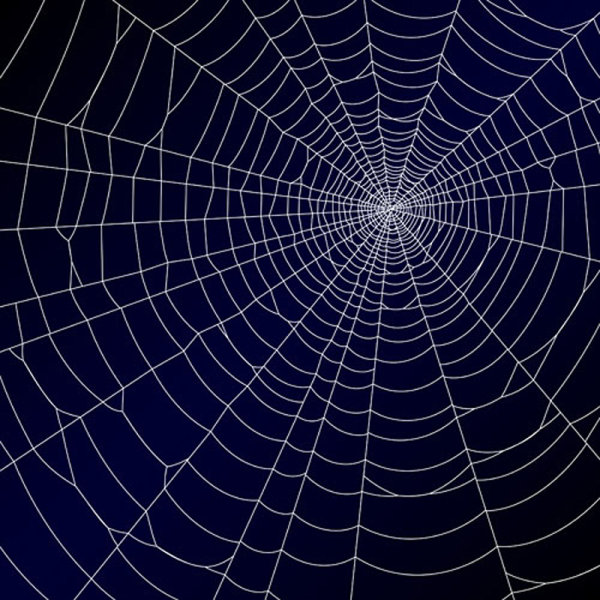 spiderweb design elements vector 02
