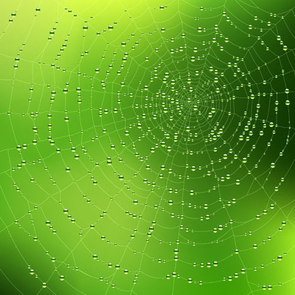 spiderweb design elements vector 03