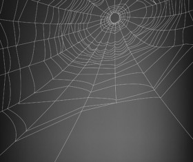 spiderweb design elements vector 05 free download