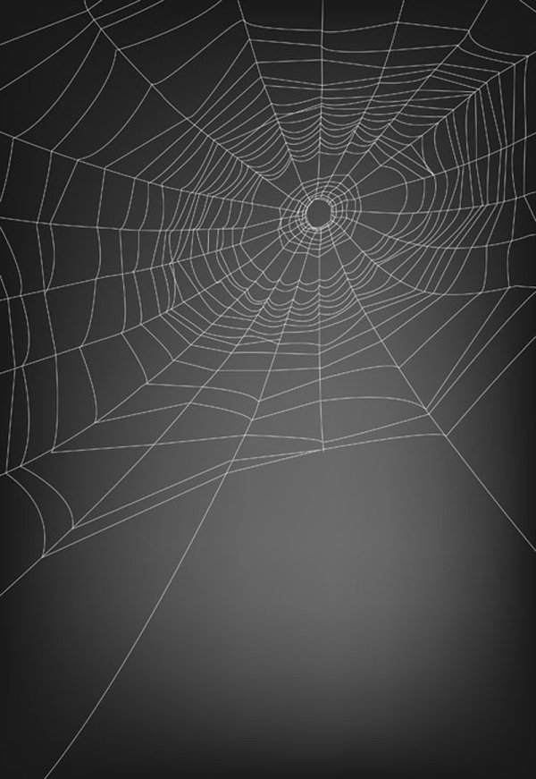 spiderweb design elements vector 04