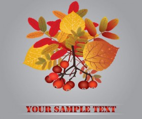 Fall leaves vector background 01
