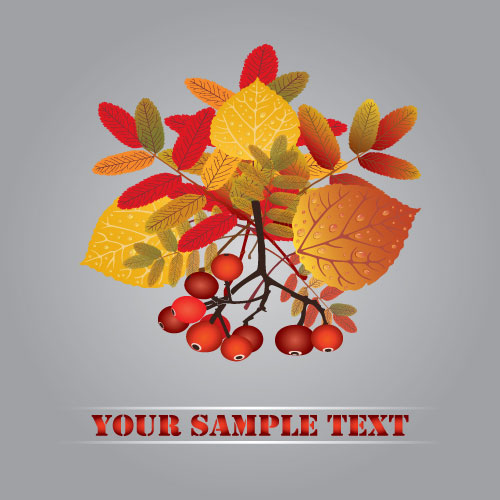 Fall leaves vector background 01