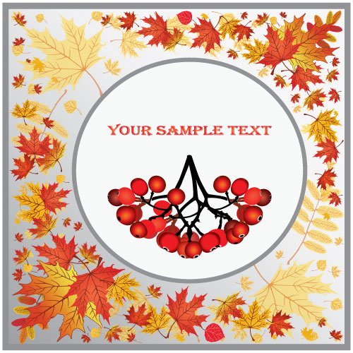 Fall leaves vector background 02