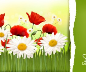 Vivid Chrysanthemum vector background 03