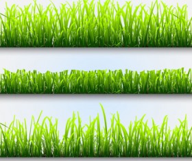 Grass and Flowers Decoration elements vector 02