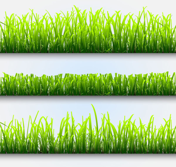 Grass and Flowers Decoration elements vector 02