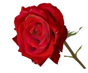 lifelike with Flowers vector set 02