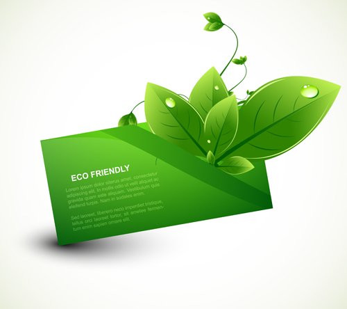 Eco design elements vector cards 02