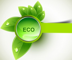 Eco design elements vector cards 03