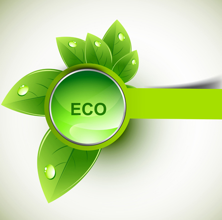 Eco design elements vector cards 03