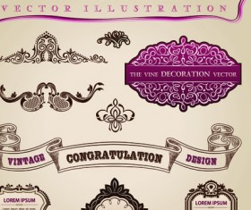 Set of Calligraphic vintage Borders and label vector 05