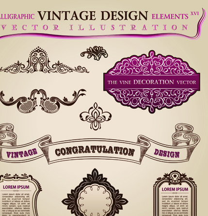 Set of Calligraphic vintage Borders and label vector 05