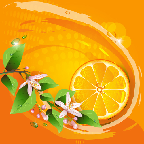 Elements of Lemon and flowers vector 01