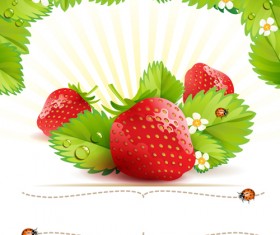 Fresh Strawberry vector 01