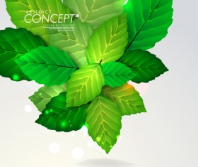 Green leaves design elements cards vector 02