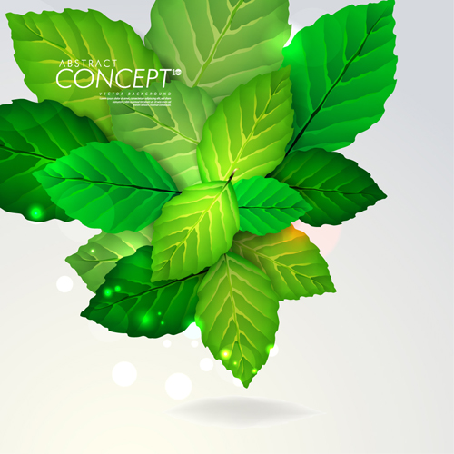 Green leaves design elements cards vector 02