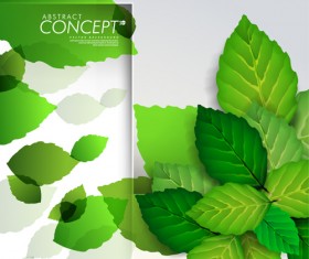 Green leaves design elements cards vector 03