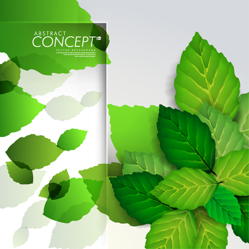 Green leaves design elements cards vector 03