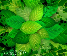 Green leaves design elements cards vector 01