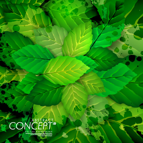 Green leaves design elements cards vector 01