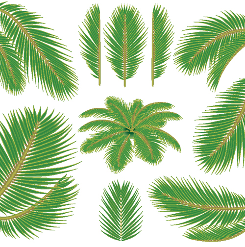 Set of green Palm leaves vector 02