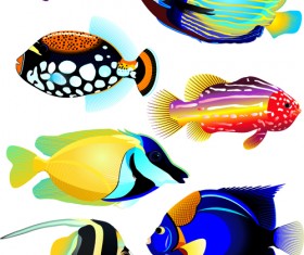 Set of Various Fish vector 01