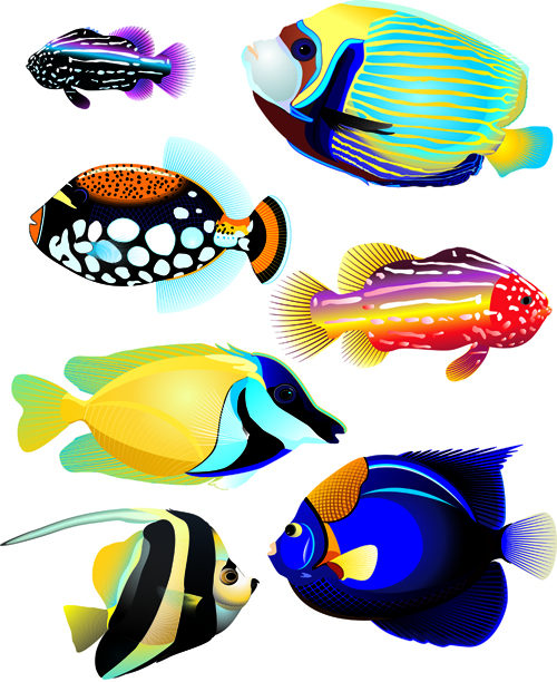 Download Set of Various Fish vector 01 free download