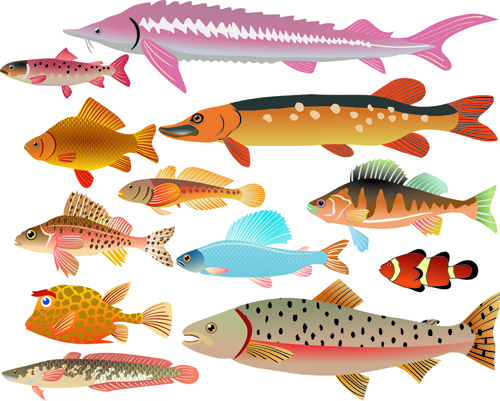 Set of Various Fish vector 03