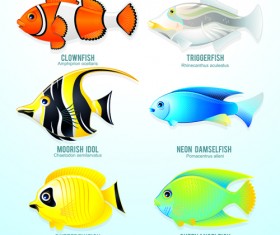 Set of Various Fish vector 05
