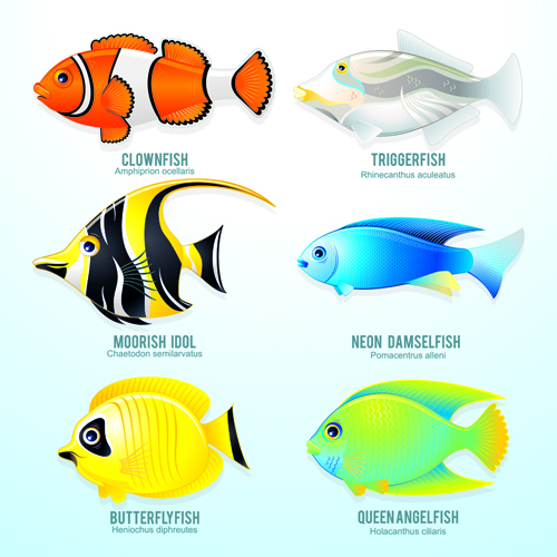 Set of Various Fish vector 05