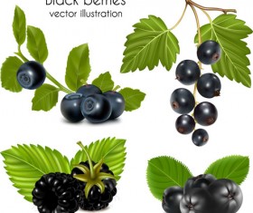 Set of Fresh Berries vector 04