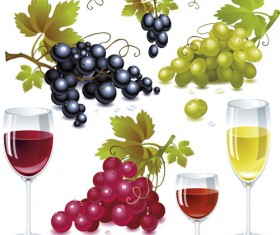 Grapes and grape wine elements vector 01