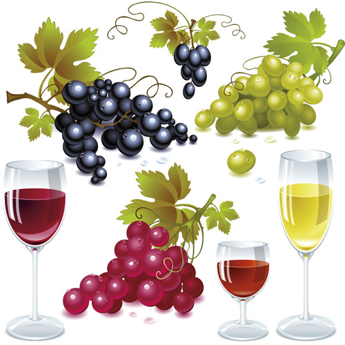 Grapes and grape wine elements vector 01
