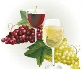 Grapes and grape wine elements vector 05