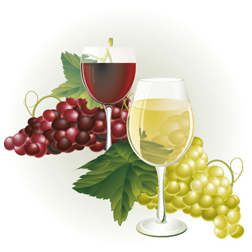 Grapes and grape wine elements vector 05