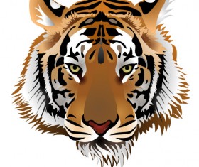 Set of Tiger vector picture art 03
