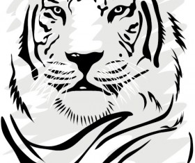 Set of Tiger vector picture art 06