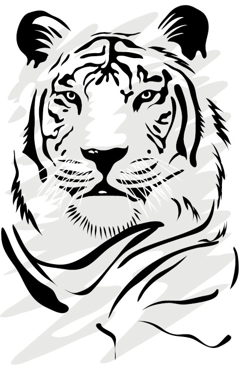 Set of Tiger vector picture art 06