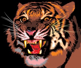 Set of Tiger vector picture art 09