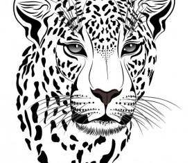 Set of Cheetah vector picture art 14