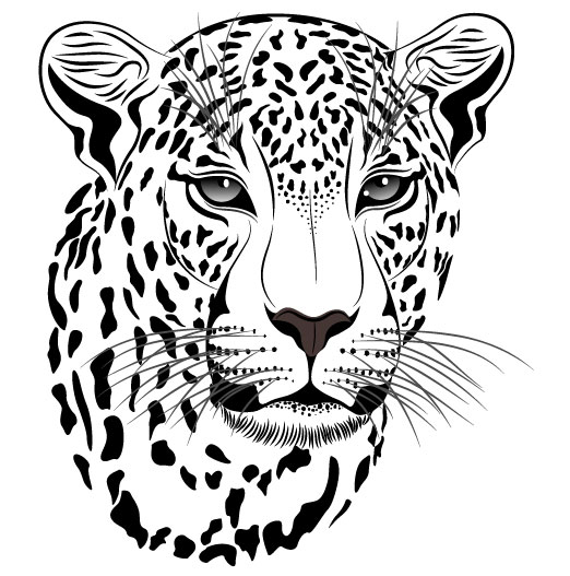 Set of Cheetah vector picture art 14