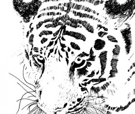 Set of Tiger vector picture art 16