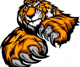 Set of Tiger vector picture art 19