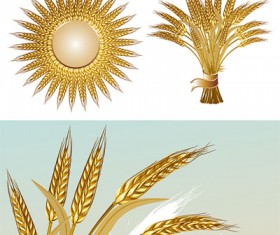 gold color wheat vecotr set 04