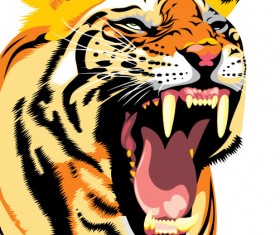 Set of Tiger vector picture art 28