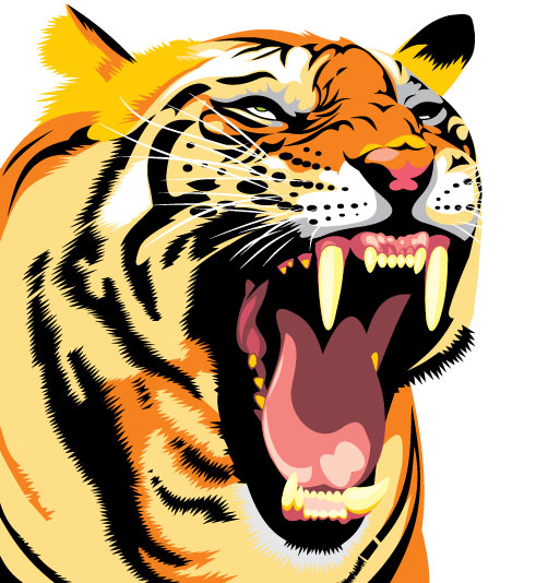 Set of Tiger vector picture art 28