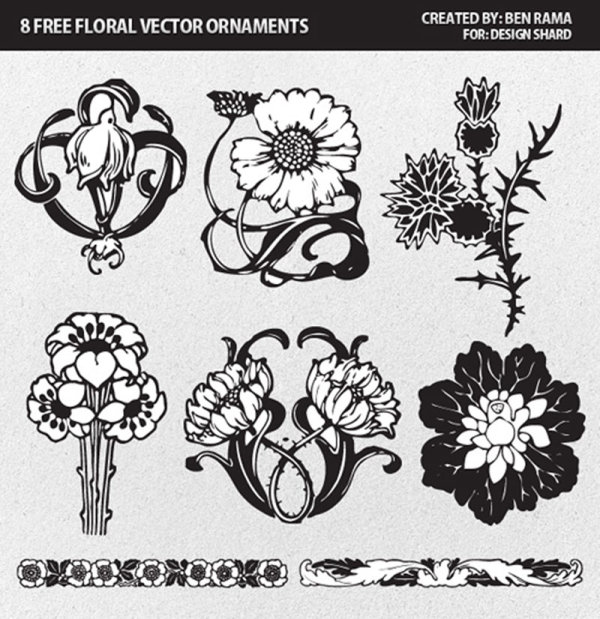 Flower ornaments of Borders and Pattern vector