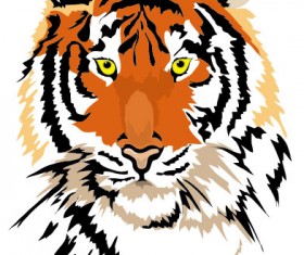 Set of Tiger vector picture art 01