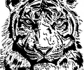 Set of Tiger vector picture art 02