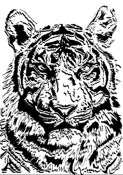 Set of Tiger vector picture art 02